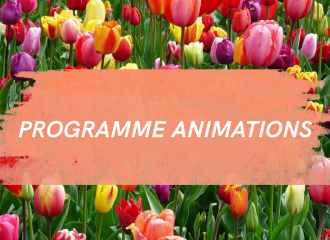 programme animations