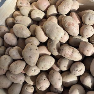 Pommes de terre Rosabelle - Achat Revente (500g)