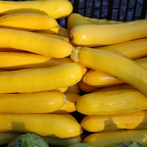 Courgettes jaunes (500g)