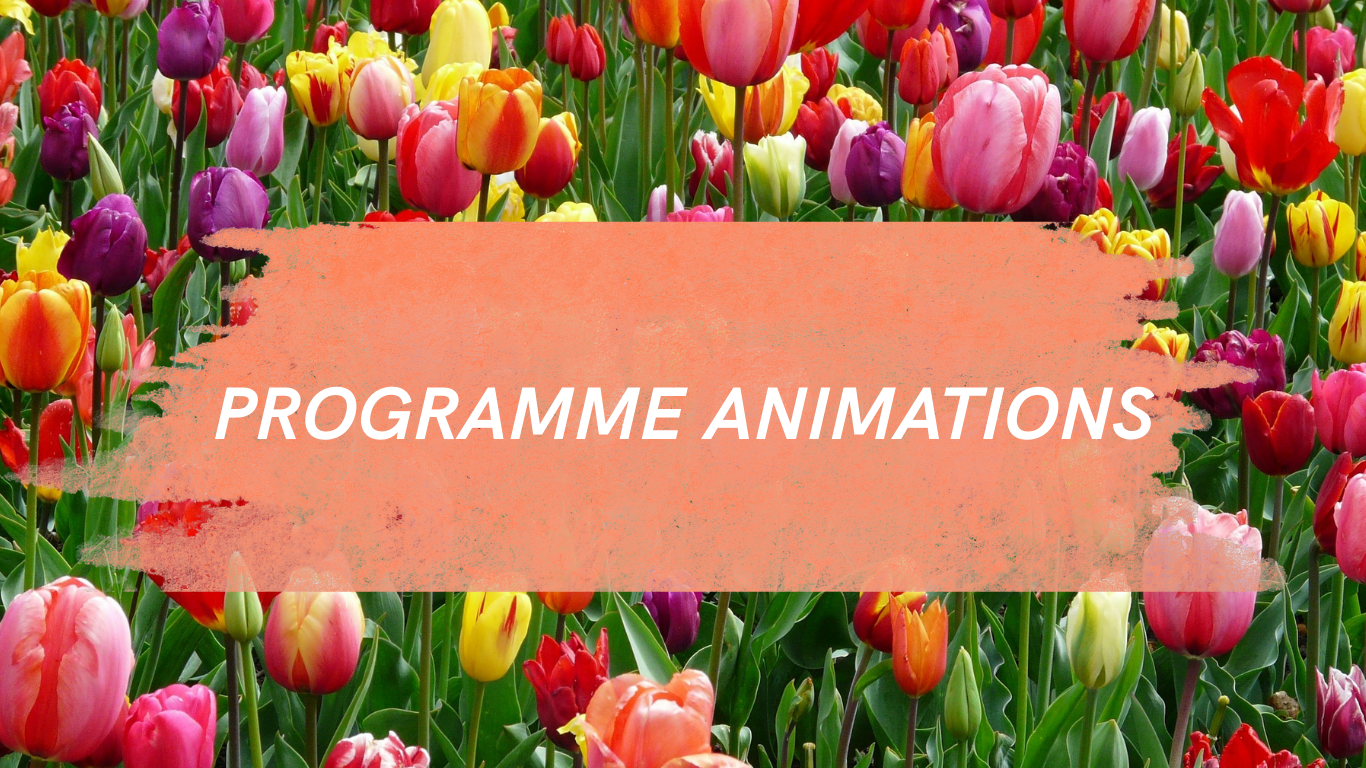 programme animations
